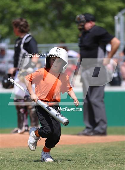 Thumbnail 2 in Hamilton @ Benbrook photogallery.