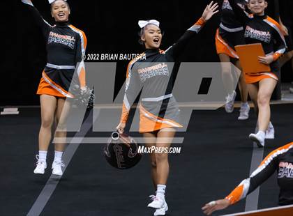 Thumbnail 2 in HHSAA Cheerleading Championships photogallery.