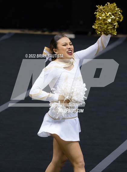 Thumbnail 2 in HHSAA Cheerleading Championships photogallery.