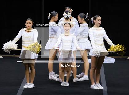 Thumbnail 1 in HHSAA Cheerleading Championships photogallery.
