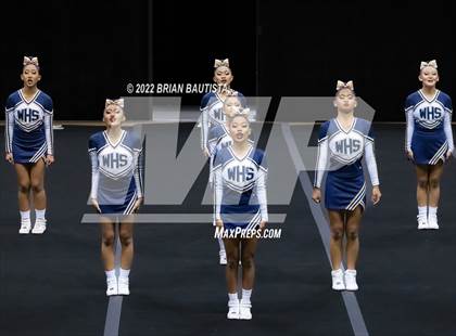 Thumbnail 2 in HHSAA Cheerleading Championships photogallery.