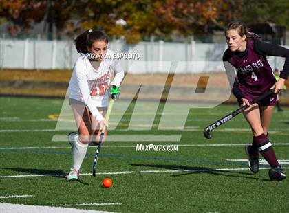 Thumbnail 1 in Orchard Park vs Mamaroneck (NYSPHSAA Class A Final) photogallery.
