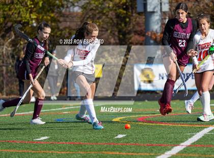 Thumbnail 1 in Orchard Park vs Mamaroneck (NYSPHSAA Class A Final) photogallery.