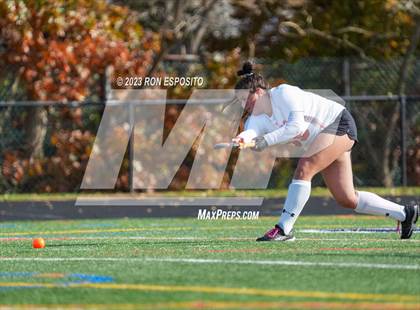 Thumbnail 2 in Orchard Park vs Mamaroneck (NYSPHSAA Class A Final) photogallery.