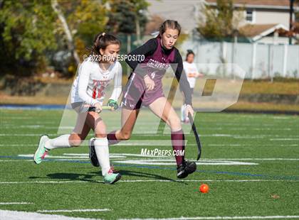 Thumbnail 3 in Orchard Park vs Mamaroneck (NYSPHSAA Class A Final) photogallery.