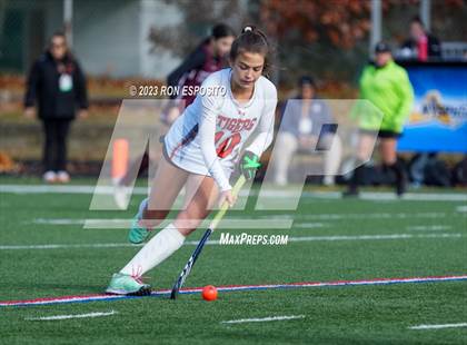 Thumbnail 1 in Orchard Park vs Mamaroneck (NYSPHSAA Class A Final) photogallery.