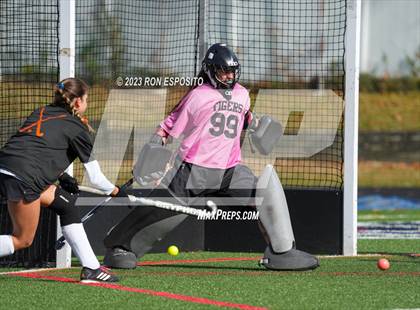 Thumbnail 1 in Orchard Park vs Mamaroneck (NYSPHSAA Class A Final) photogallery.