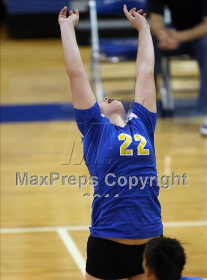 Thumbnail 3 in Pflugerville @ Leander photogallery.