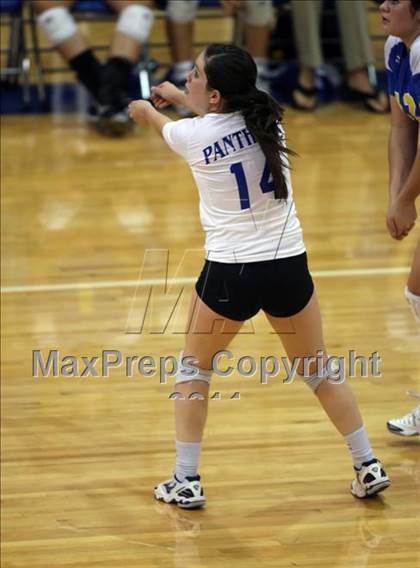 Thumbnail 3 in Pflugerville @ Leander photogallery.