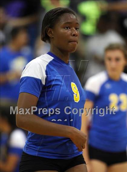 Thumbnail 3 in Pflugerville @ Leander photogallery.
