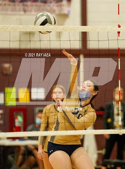 Thumbnail 2 in Elk Grove @ Franklin photogallery.