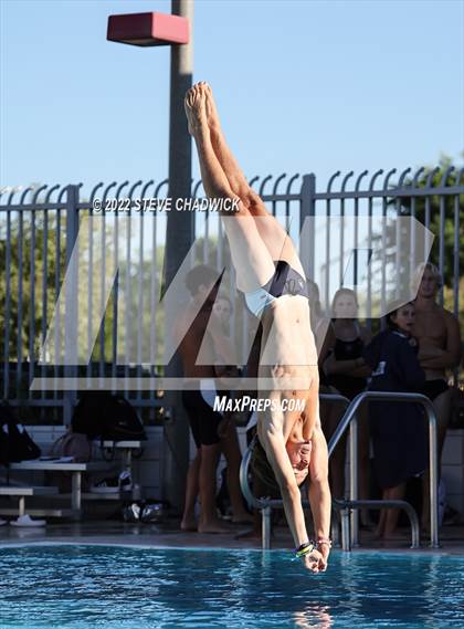 Thumbnail 2 in Gilbert Classical, Morenci & Higley at Williams Field (Boys Dive) photogallery.