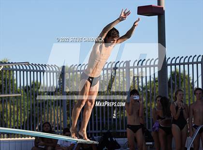 Thumbnail 1 in Gilbert Classical, Morenci & Higley at Williams Field (Boys Dive) photogallery.