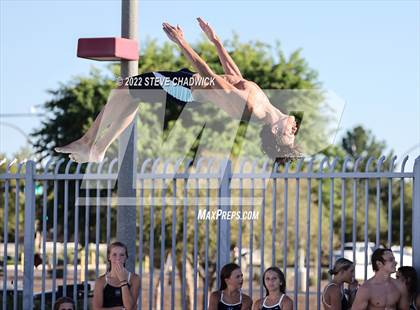 Thumbnail 2 in Gilbert Classical, Morenci & Higley at Williams Field (Boys Dive) photogallery.