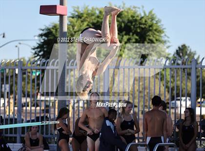 Thumbnail 1 in Gilbert Classical, Morenci & Higley at Williams Field (Boys Dive) photogallery.