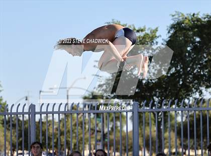 Thumbnail 1 in Gilbert Classical, Morenci & Higley at Williams Field (Boys Dive) photogallery.