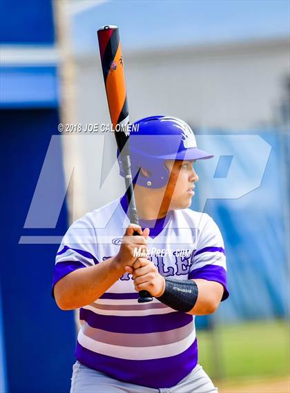 Thumbnail 3 in Brackenridge vs Edison [Thomas A.] photogallery.