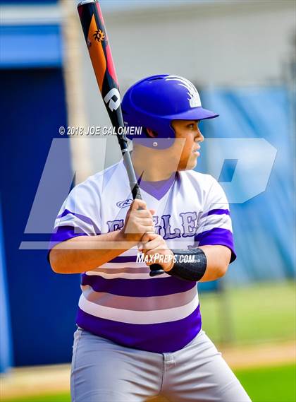 Thumbnail 2 in Brackenridge vs Edison [Thomas A.] photogallery.