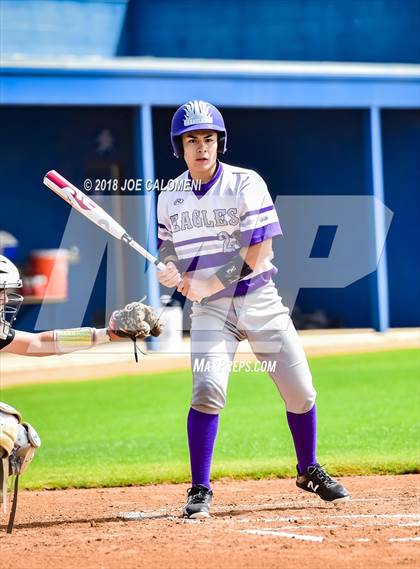 Thumbnail 3 in Brackenridge vs Edison [Thomas A.] photogallery.