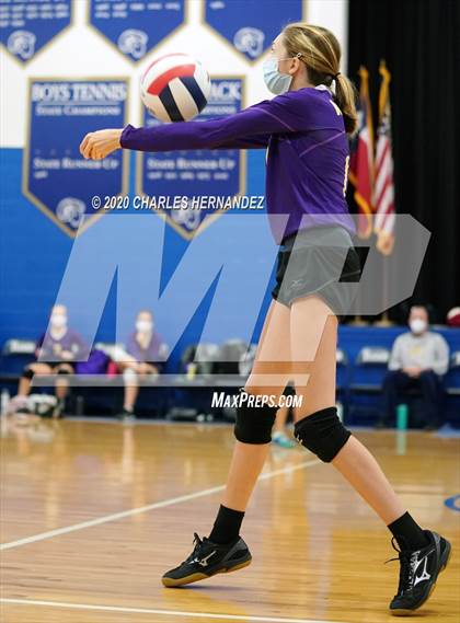 Thumbnail 3 in Austin Waldorf @ Allen Academy photogallery.