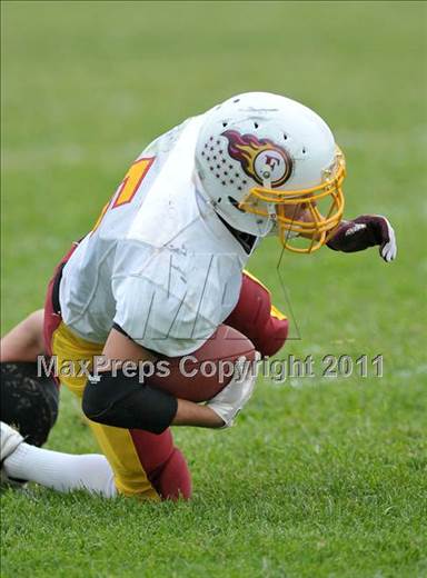 null - Photo 21