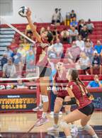 Photo from the gallery "Mission Hills vs. San Pasqual (CIF SDS Division 3 Finals)"