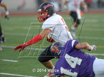 Thumbnail 1 in Sumner vs Shelton photogallery.