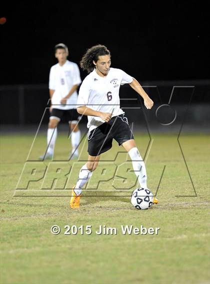 Thumbnail 1 in Land O' Lakes @ Wiregrass Ranch photogallery.