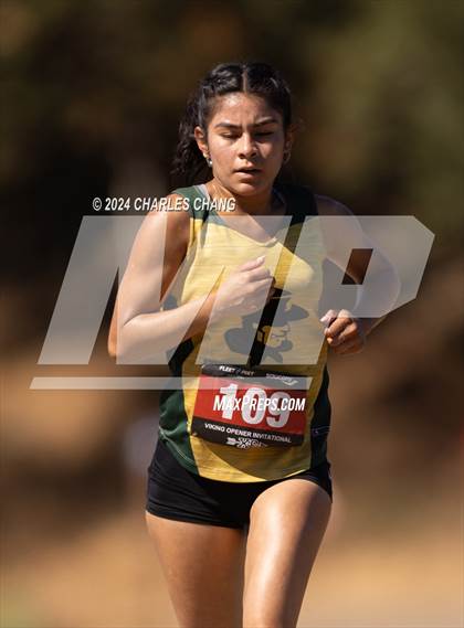Thumbnail 1 in Vikings Opener (Spring Lake) photogallery.
