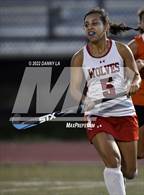 Photo from the gallery "Hayfield @ Justice"