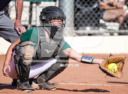 Thumbnail 1 in Mitchell @ Falcon photogallery.
