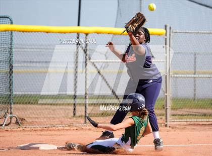 Thumbnail 3 in Mitchell @ Falcon photogallery.