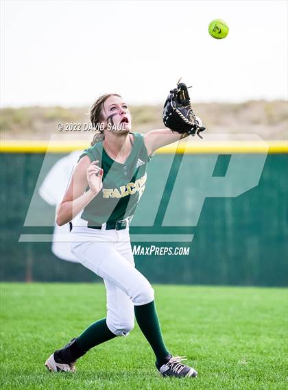 Thumbnail 3 in Mitchell @ Falcon photogallery.