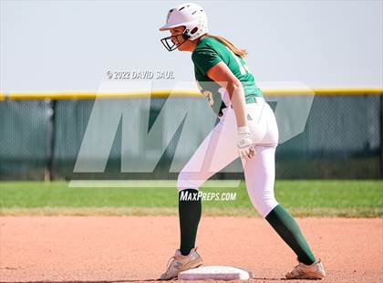 Thumbnail 1 in Mitchell @ Falcon photogallery.