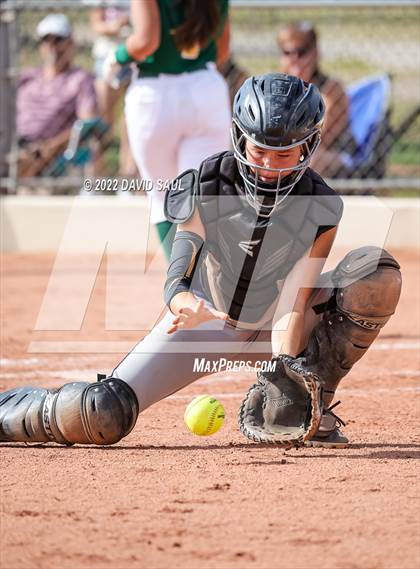Thumbnail 1 in Mitchell @ Falcon photogallery.