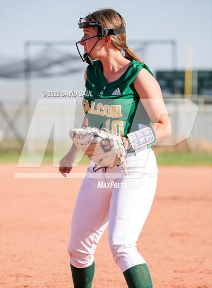 Thumbnail 3 in Mitchell @ Falcon photogallery.
