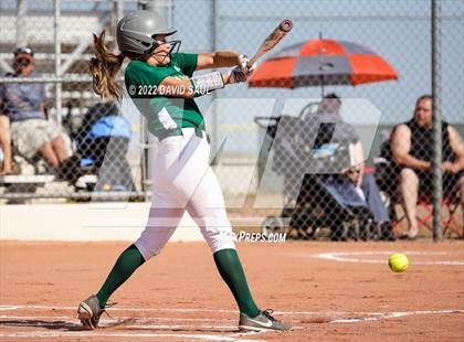Thumbnail 3 in Mitchell @ Falcon photogallery.