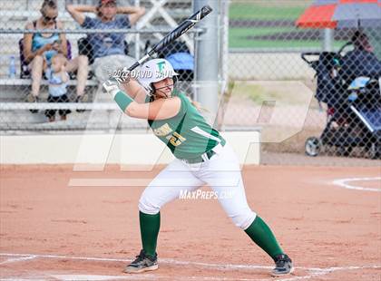 Thumbnail 1 in Mitchell @ Falcon photogallery.