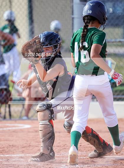 Thumbnail 3 in Mitchell @ Falcon photogallery.