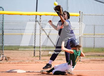 Thumbnail 1 in Mitchell @ Falcon photogallery.