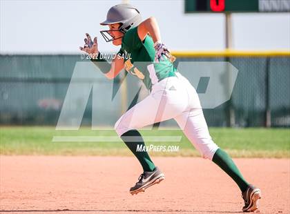 Thumbnail 3 in Mitchell @ Falcon photogallery.