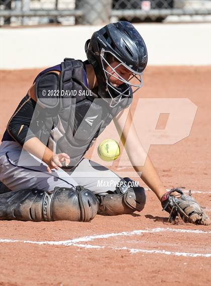 Thumbnail 2 in Mitchell @ Falcon photogallery.