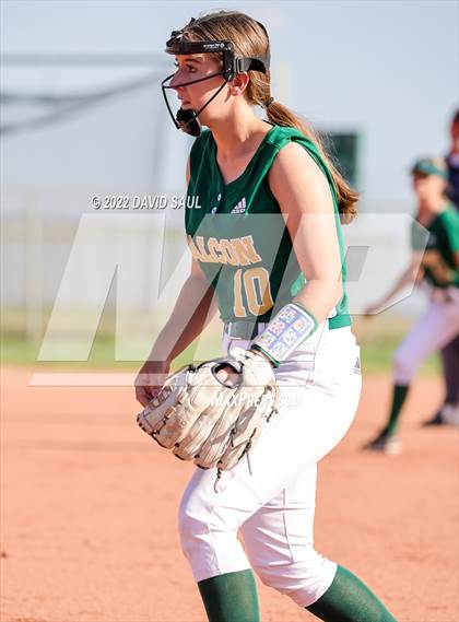 Thumbnail 3 in Mitchell @ Falcon photogallery.