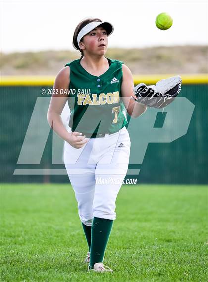 Thumbnail 3 in Mitchell @ Falcon photogallery.