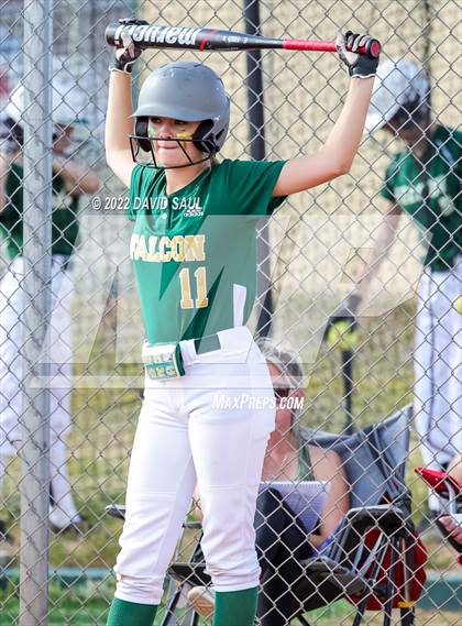 Thumbnail 3 in Mitchell @ Falcon photogallery.