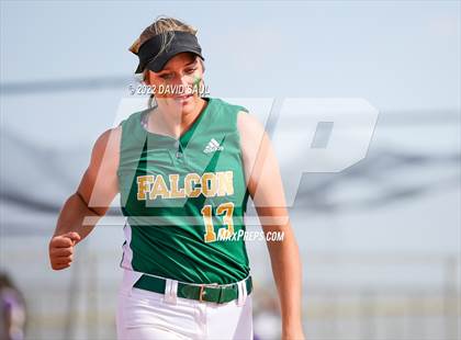Thumbnail 1 in Mitchell @ Falcon photogallery.