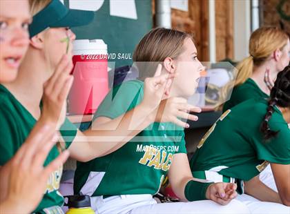 Thumbnail 1 in Mitchell @ Falcon photogallery.