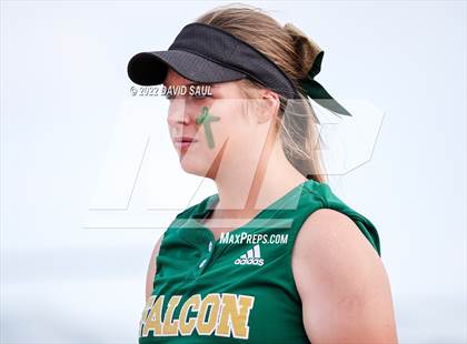 Thumbnail 2 in Mitchell @ Falcon photogallery.