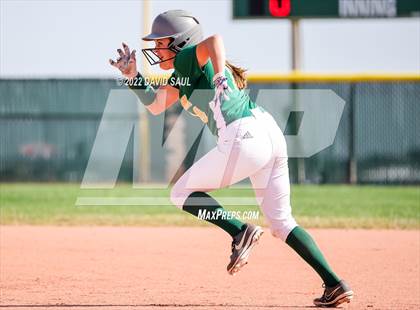 Thumbnail 2 in Mitchell @ Falcon photogallery.