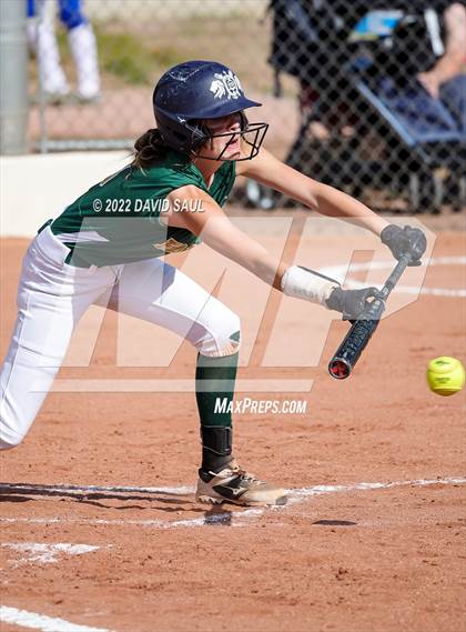 Thumbnail 1 in Mitchell @ Falcon photogallery.